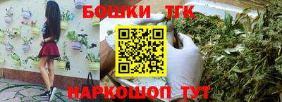 МДПВ Славгород