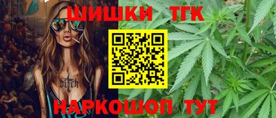 гашик Будённовск