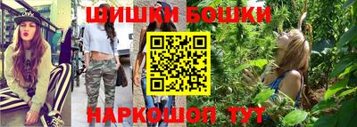 гашик Будённовск