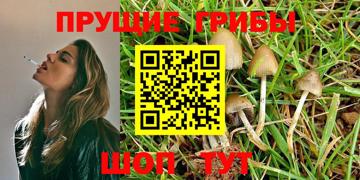 Ревда  Галлюциногенные грибы MAGIC MUSHROOMS  Вход с VPN  Псилоцибиновые грибы MAGIC MUSHROOMS 